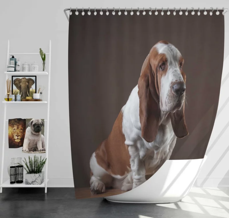 Basset Hound Quirky Charisma Shower Curtain