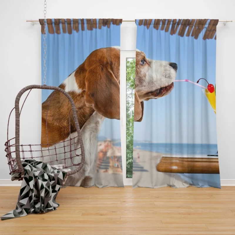 Basset Hound with a Summer Twist Playful Vibes Curtain