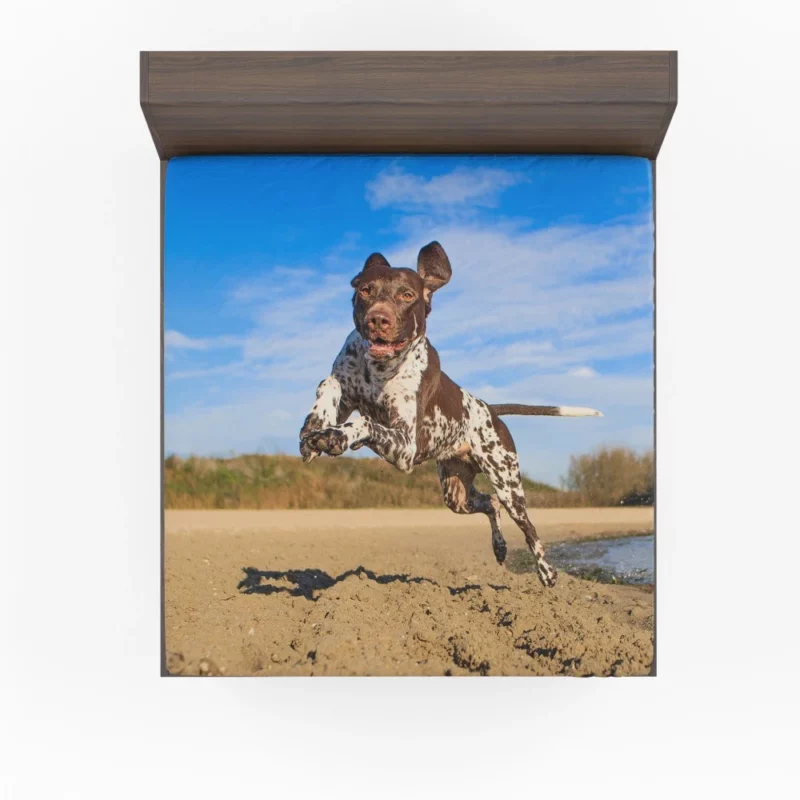 Beach Running German Shorthaired Pointer Fitted Sheet 1