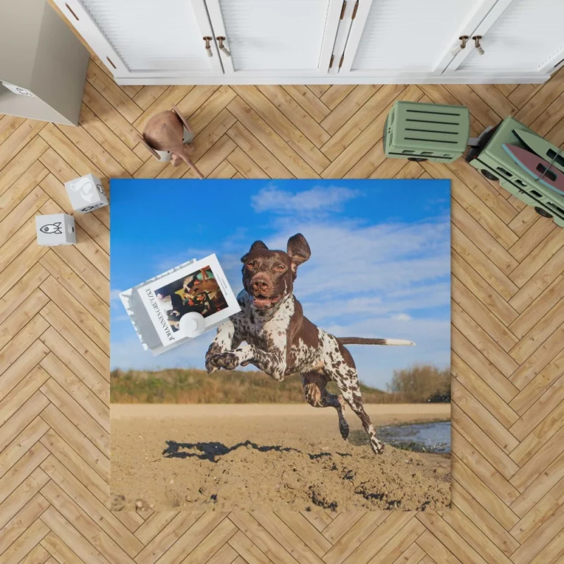 Beach Running German Shorthaired Pointer Rug