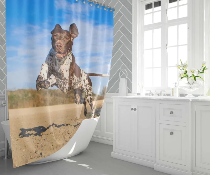 Beach Running German Shorthaired Pointer Shower Curtain 1