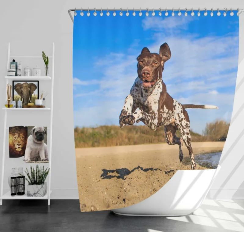 Beach Running German Shorthaired Pointer Shower Curtain