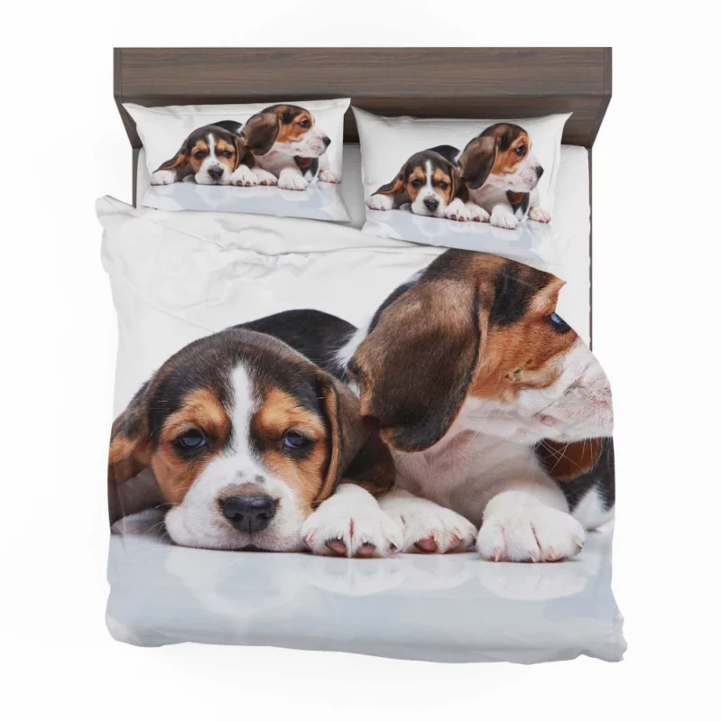 Beagle Curious Expression Playful Wonder Bedding Set 1