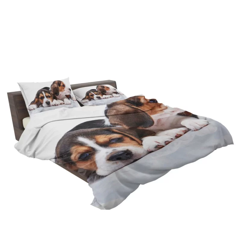 Beagle Curious Expression Playful Wonder Bedding Set 2