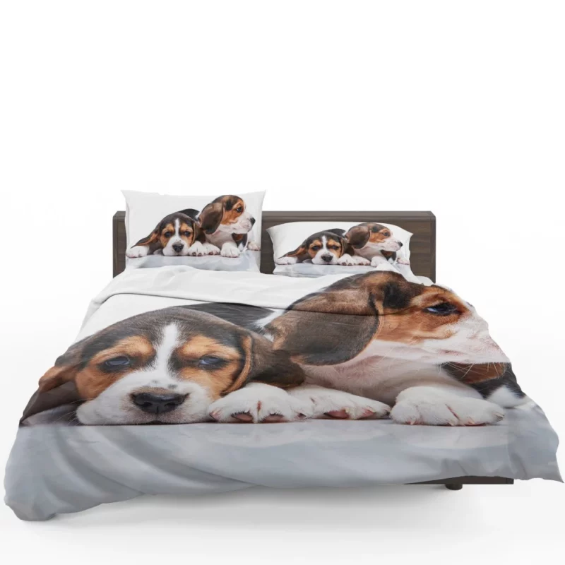 Beagle Curious Expression Playful Wonder Bedding Set