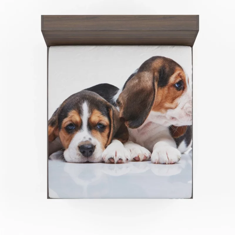 Beagle Curious Expression Playful Wonder Fitted Sheet 1