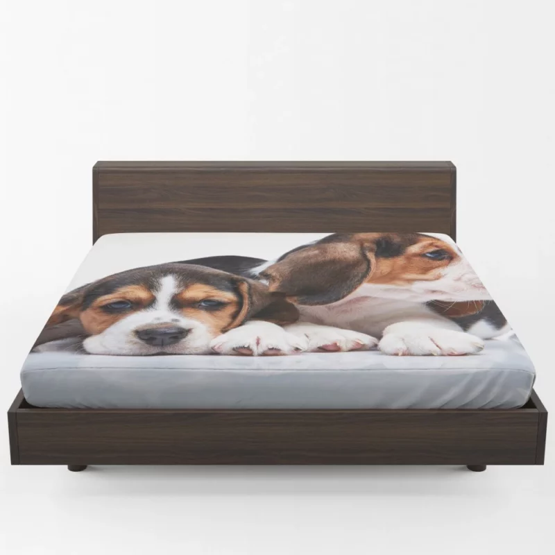 Beagle Curious Expression Playful Wonder Fitted Sheet