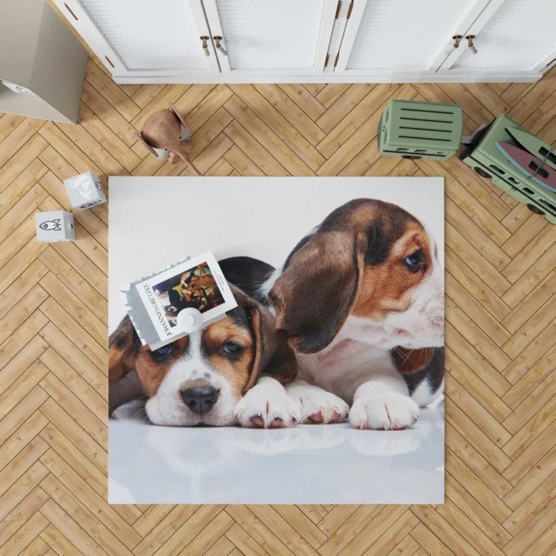 Beagle Curious Expression Playful Wonder Rug