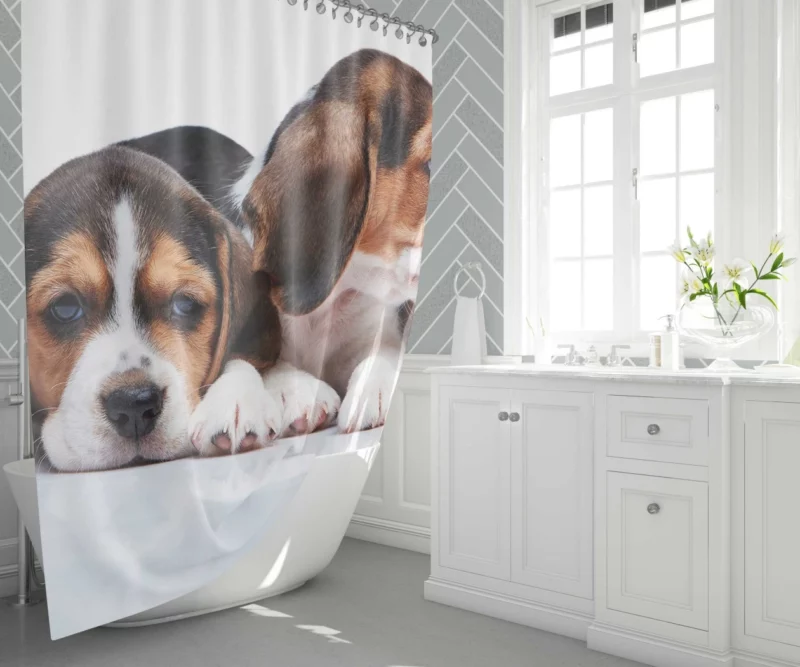 Beagle Curious Expression Playful Wonder Shower Curtain 1