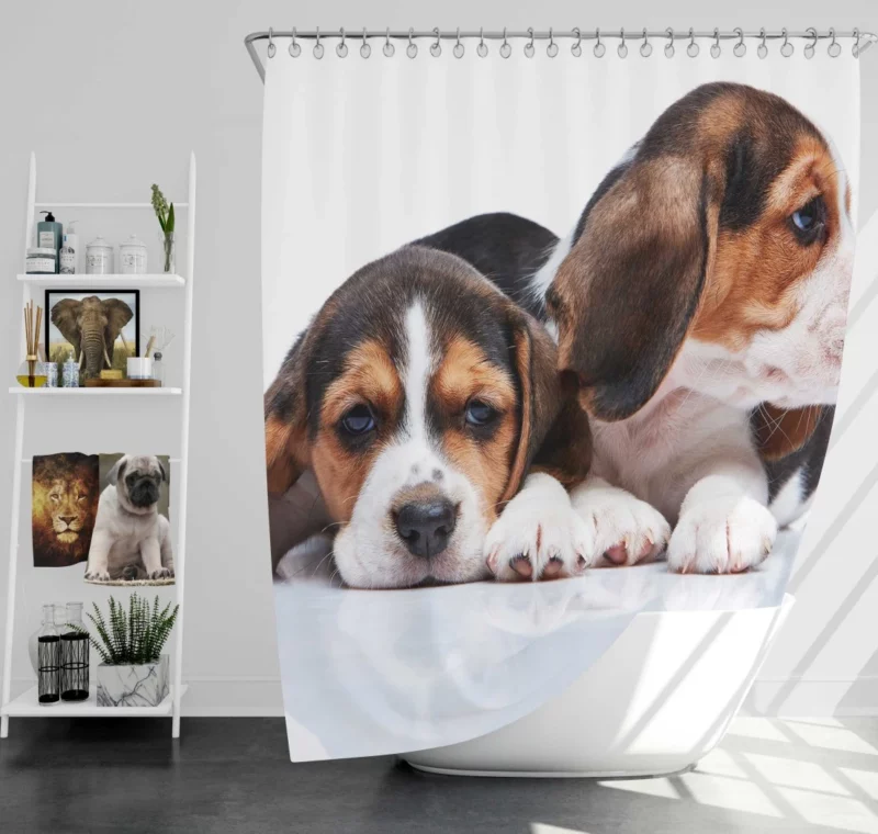 Beagle Curious Expression Playful Wonder Shower Curtain