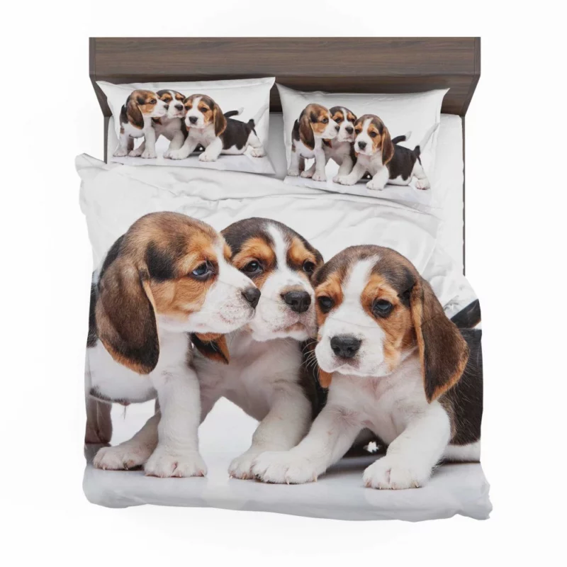 Beagle Curious Eyes Friendly Playfulness Bedding Set 1