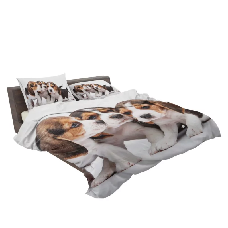 Beagle Curious Eyes Friendly Playfulness Bedding Set 2