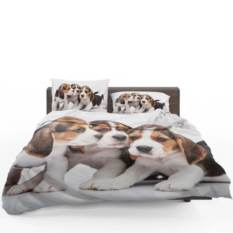 Beagle Curious Eyes Friendly Playfulness Bedding Set