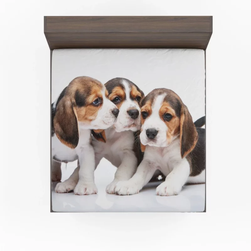 Beagle Curious Eyes Friendly Playfulness Fitted Sheet 1