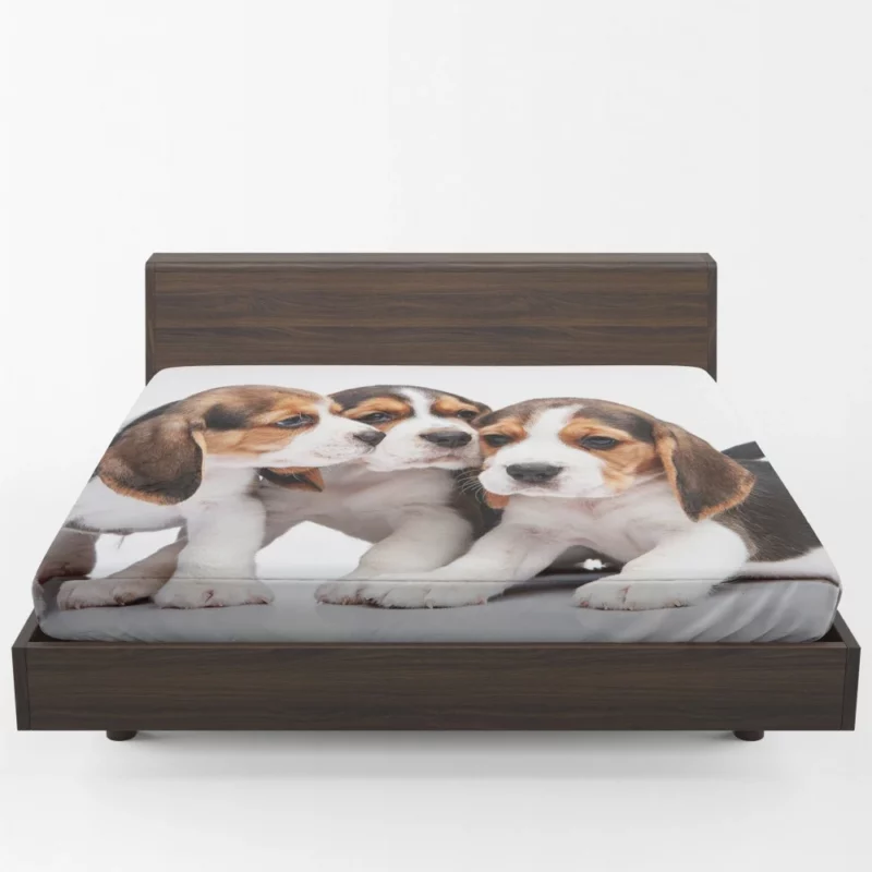 Beagle Curious Eyes Friendly Playfulness Fitted Sheet