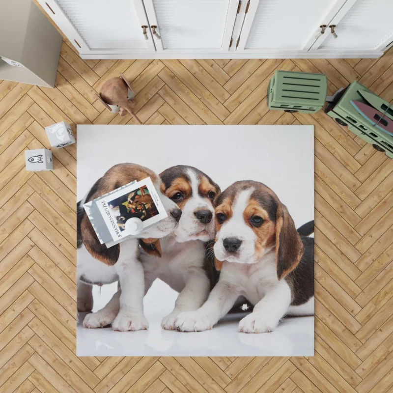 Beagle Curious Eyes Friendly Playfulness Rug