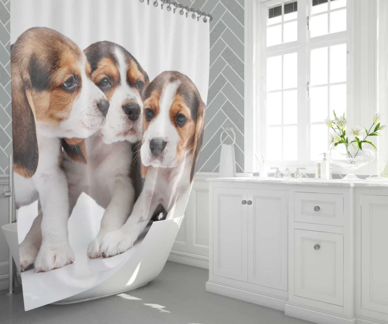 Beagle Curious Eyes Friendly Playfulness Shower Curtain 1