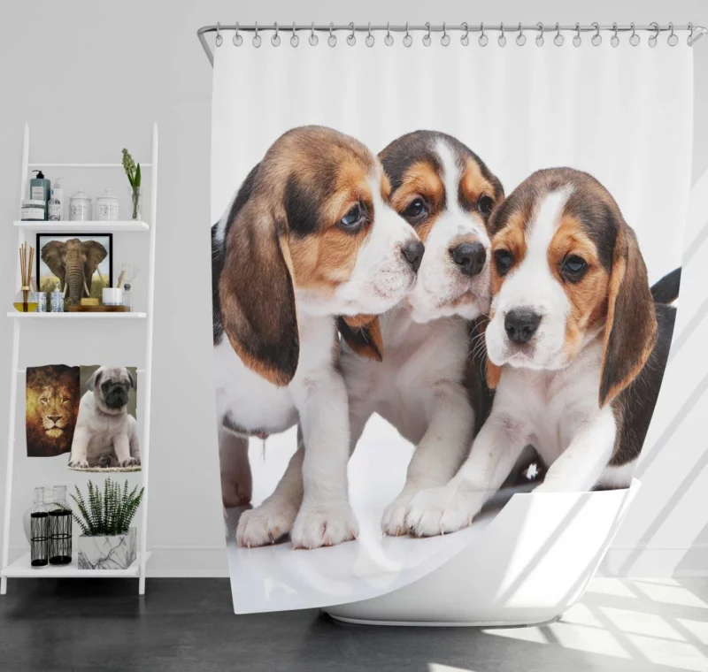 Beagle Curious Eyes Friendly Playfulness Shower Curtain