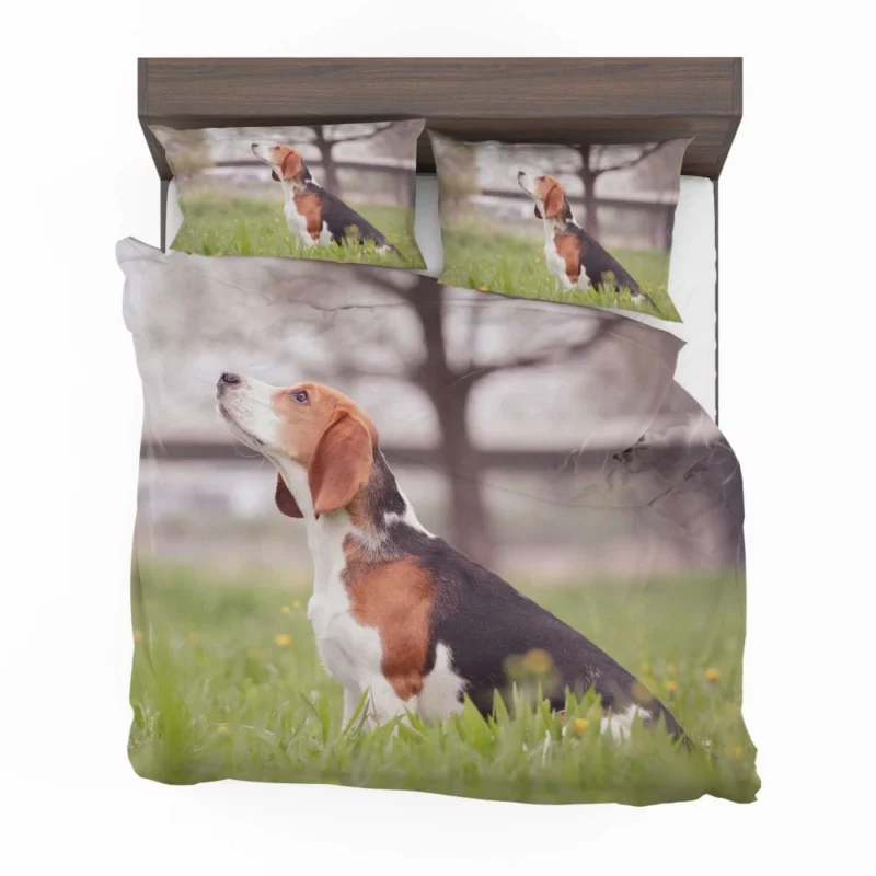 Beagle Ears Playful Canine Curiosity Bedding Set 1