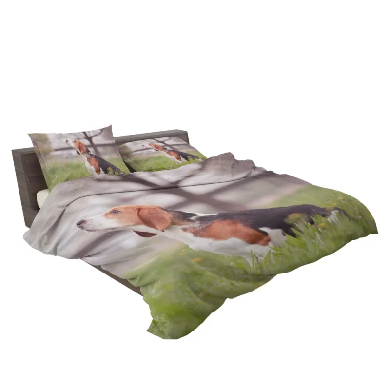 Beagle Ears Playful Canine Curiosity Bedding Set 2