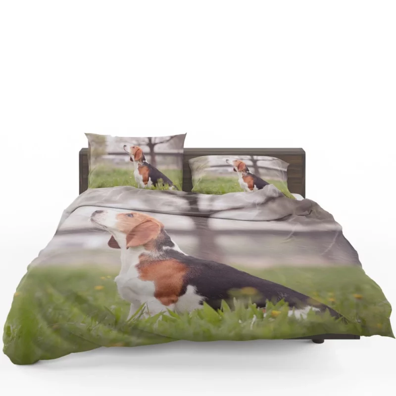 Beagle Ears Playful Canine Curiosity Bedding Set