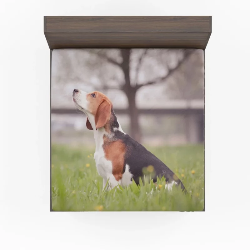 Beagle Ears Playful Canine Curiosity Fitted Sheet 1