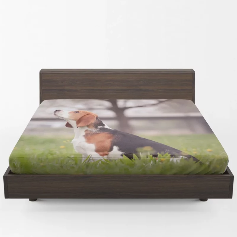 Beagle Ears Playful Canine Curiosity Fitted Sheet