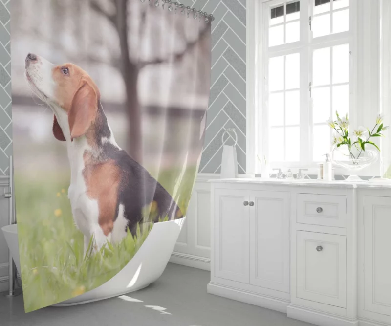 Beagle Ears Playful Canine Curiosity Shower Curtain 1