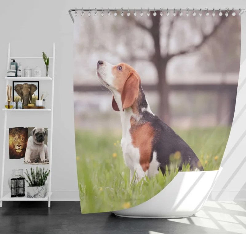 Beagle Ears Playful Canine Curiosity Shower Curtain