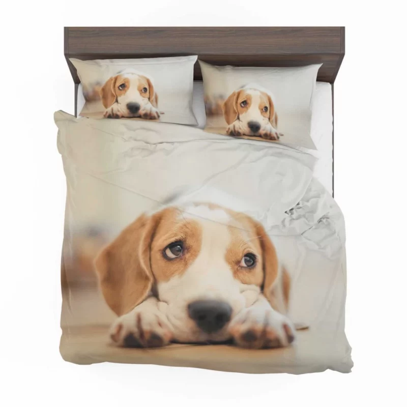 Beagle Furry Innocence Puppy Charm Bedding Set 1