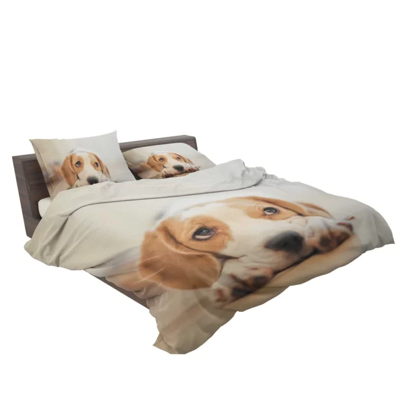 Beagle Furry Innocence Puppy Charm Bedding Set 2