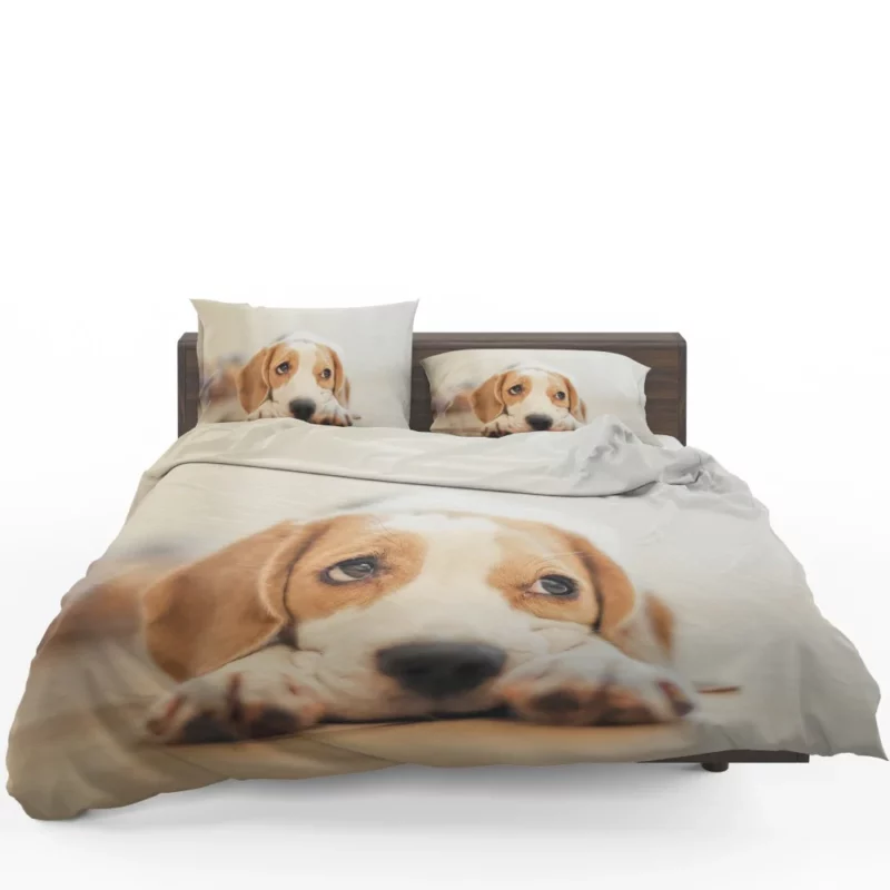 Beagle Furry Innocence Puppy Charm Bedding Set