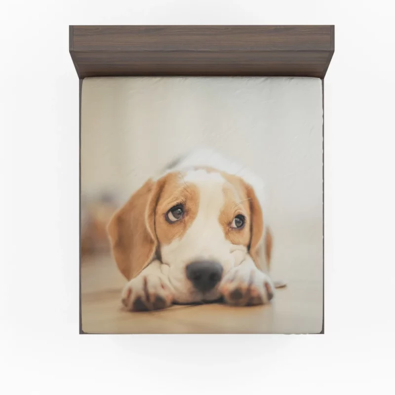 Beagle Furry Innocence Puppy Charm Fitted Sheet 1