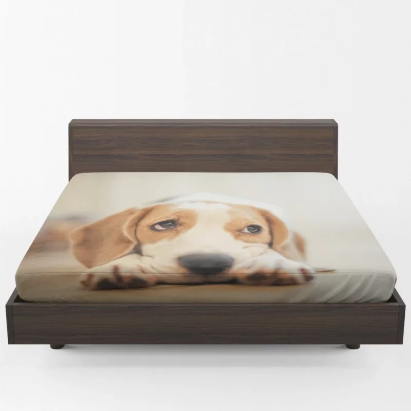 Beagle Furry Innocence Puppy Charm Fitted Sheet