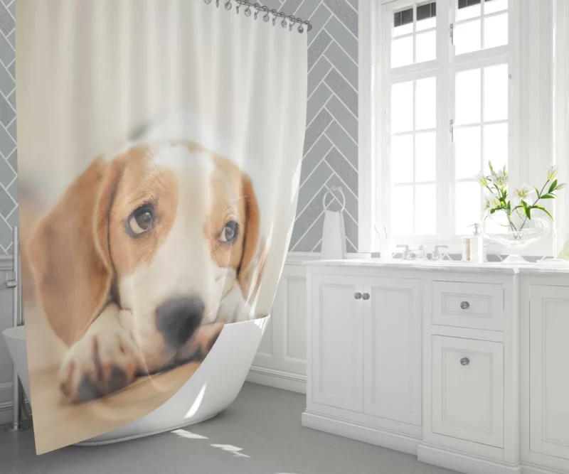 Beagle Furry Innocence Puppy Charm Shower Curtain 1