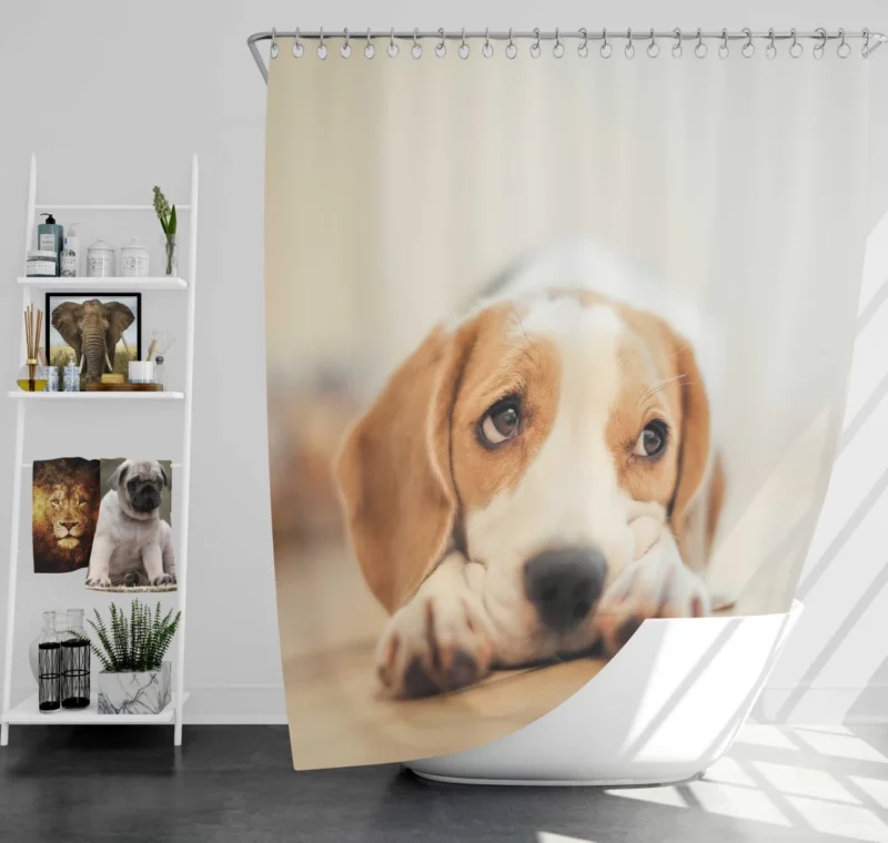 Beagle Furry Innocence Puppy Charm Shower Curtain