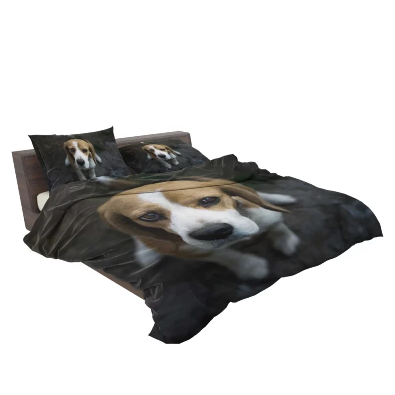 Beagle Innocent Gaze Furry Curiosity Bedding Set 2