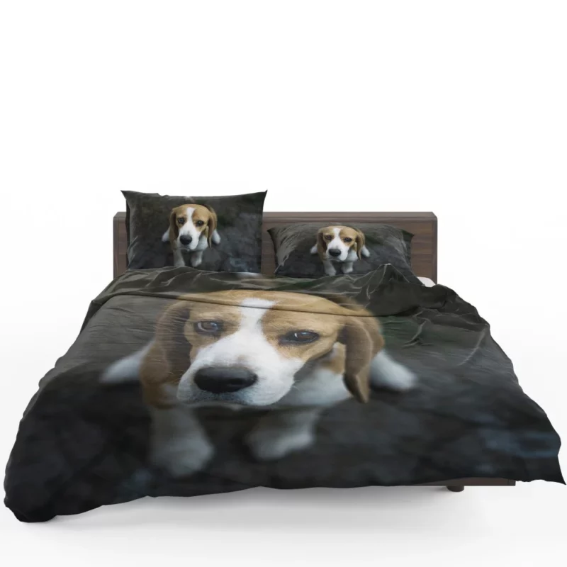 Beagle Innocent Gaze Furry Curiosity Bedding Set