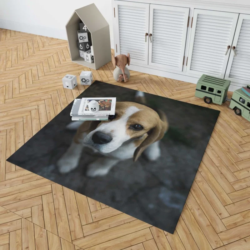 Beagle Innocent Gaze Furry Curiosity Rug 1