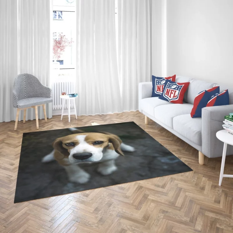 Beagle Innocent Gaze Furry Curiosity Rug 2