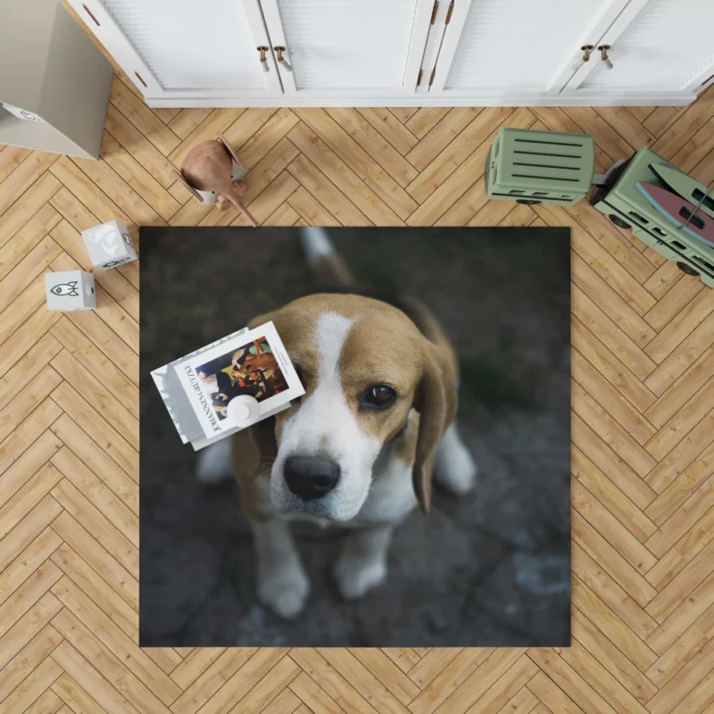 Beagle Innocent Gaze Furry Curiosity Rug