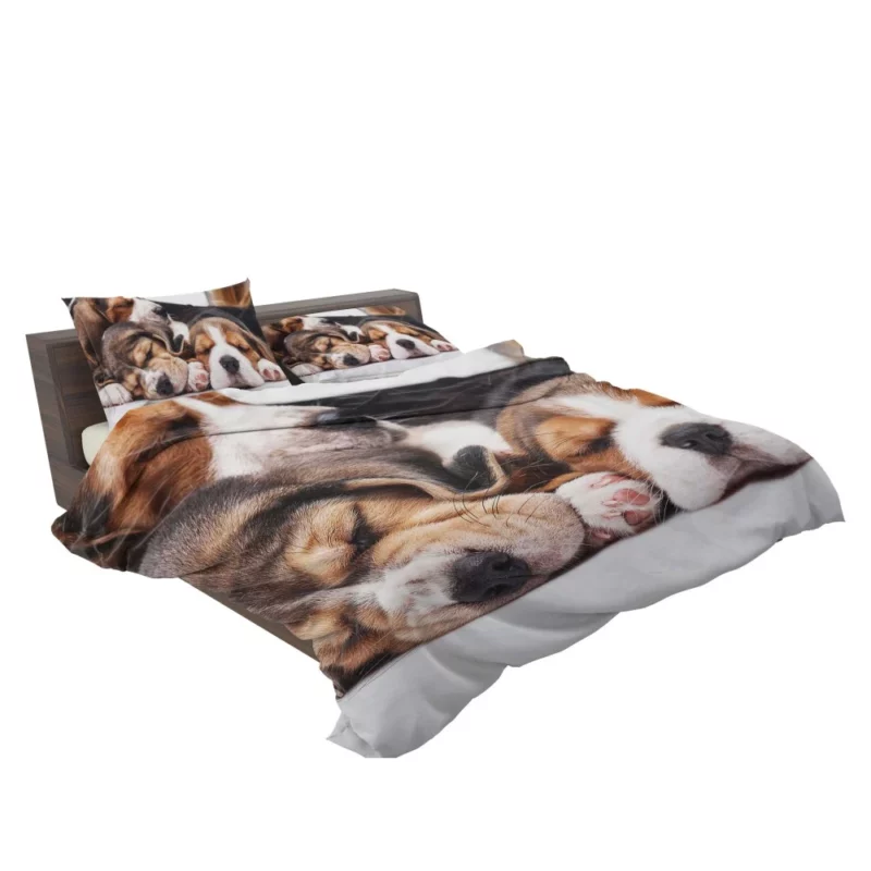 Beagle Inquisitive Charm Playful Delight Bedding Set 2