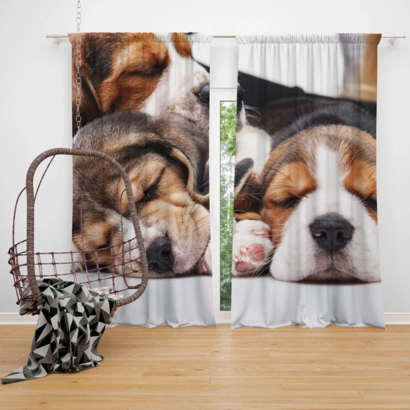 Beagle Inquisitive Charm Playful Delight Curtain