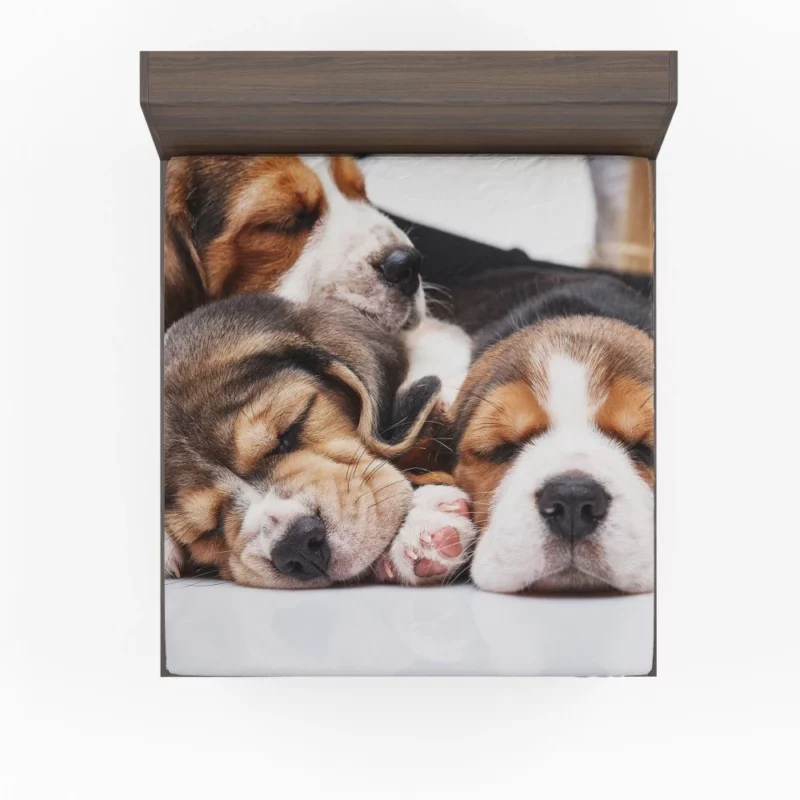 Beagle Inquisitive Charm Playful Delight Fitted Sheet 1