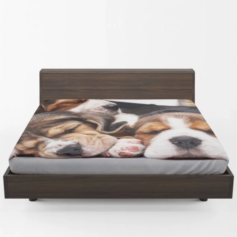 Beagle Inquisitive Charm Playful Delight Fitted Sheet