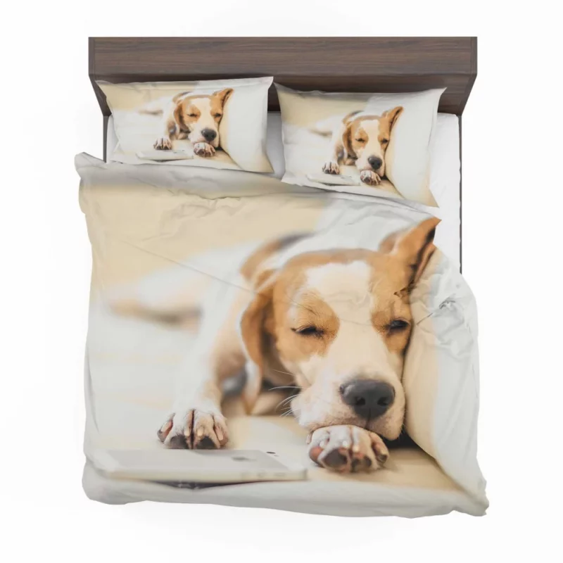 Beagle Muzzle & Cozy Nap Bedding Set 1