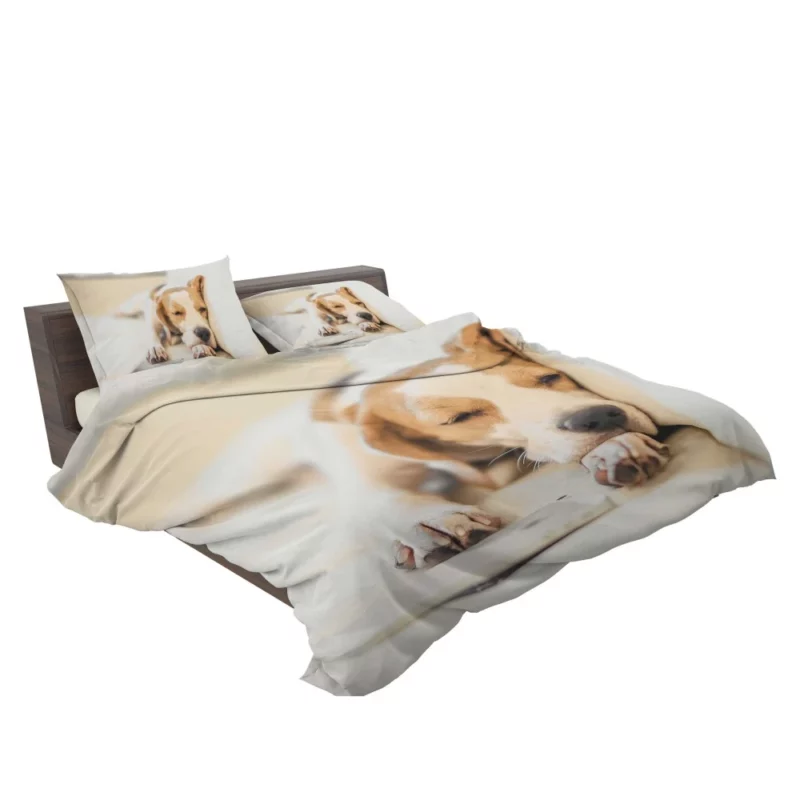 Beagle Muzzle & Cozy Nap Bedding Set 2