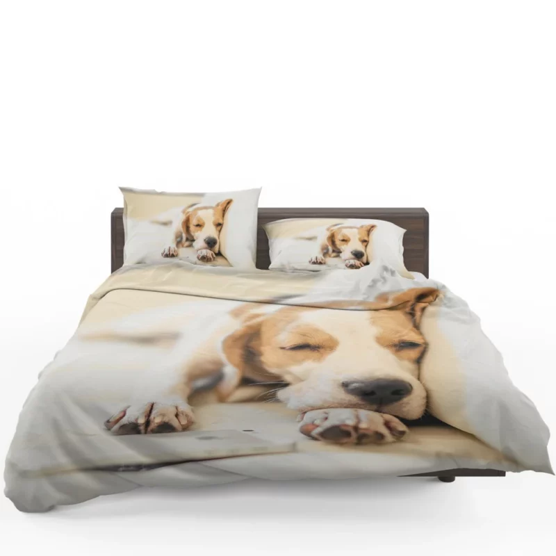 Beagle Muzzle & Cozy Nap Bedding Set