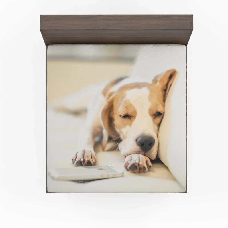 Beagle Muzzle & Cozy Nap Fitted Sheet 1