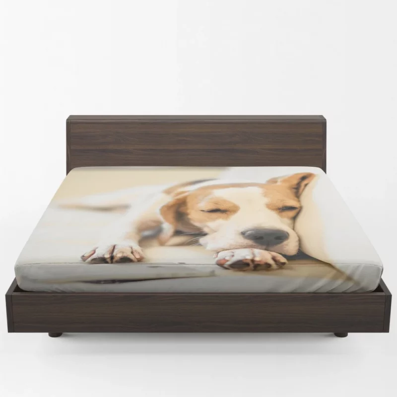 Beagle Muzzle & Cozy Nap Fitted Sheet